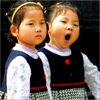 �����롷