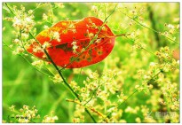 һ�~֪��