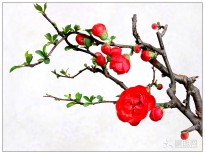 ��ӭ�e��������