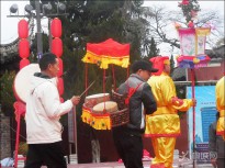 ����茹��