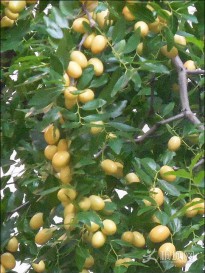 �T������