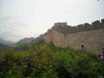 �S����Ո(q��ng)��������