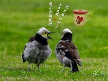 ��Ϧ�옷(l��)
