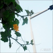 ��푘�