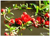 �������M֦��