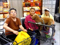 �Y(ji��)���ُ(g��u)