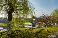 �I��߅С�����ļ�׃��
