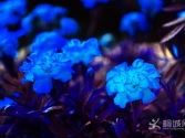 С��һ�����I(xi��n)�o���