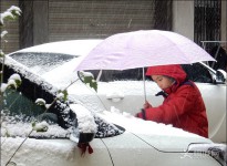 ��2018�׈�Сѩ��