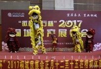�������y�б���2017ͩ�Ƿ��a(ch��n)չ�N��