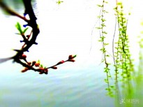 �紺���� [�֙C(j��)�Ķ�]