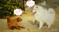 һ�K���^���l(f��)�đ�(zh��n)��
