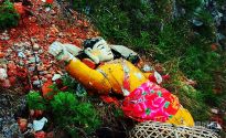 �l�����_�G��