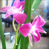 ��(du��)��