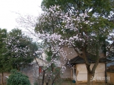 ���쵽����