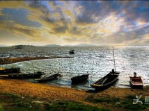 �ҵ��ϼҡ����Ӻ��L(f��ng)�⡷