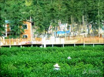 ��^(q��)�L(f��ng)��