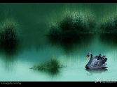 �B������