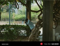 �S��һ��151
