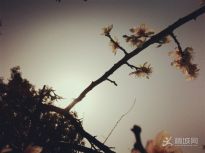 �䌍(sh��)һ��(g��)��ͦ����