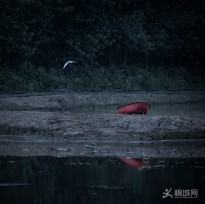 ��ِӡ��