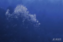 ��(d��)�ף�һ��һ�D��
