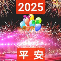 2025ƽ��