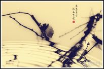 �仨��������ˮ�o��