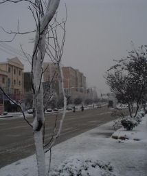 2009��ĵ�һ��(ch��ng)ѩ
