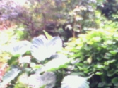 ��ͩ����^(q��)��һ�ξە�(hu��)